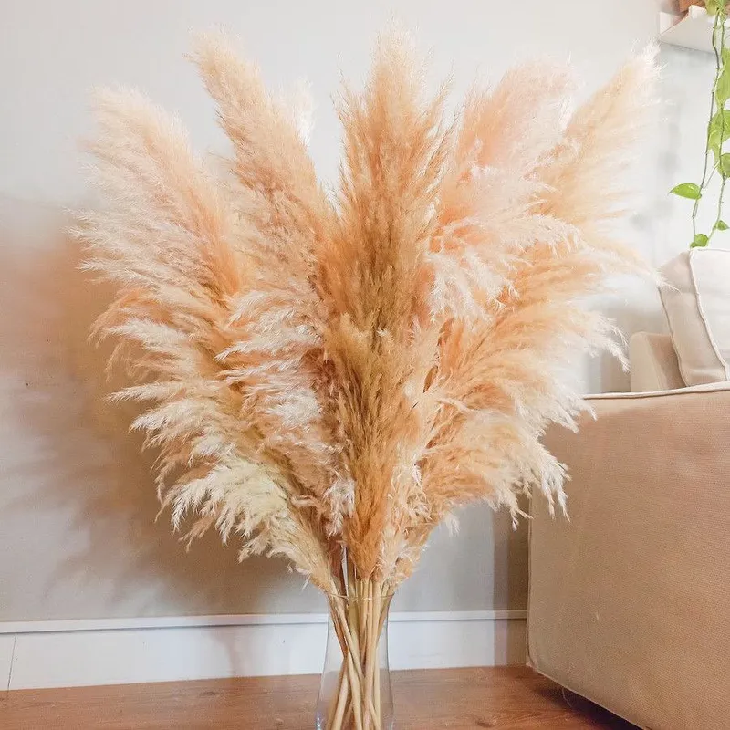 Pampas o‘ti. Interyer bezagi uchun 4