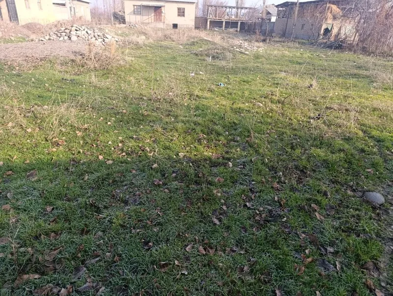Бош участка.8сотих — фото 3