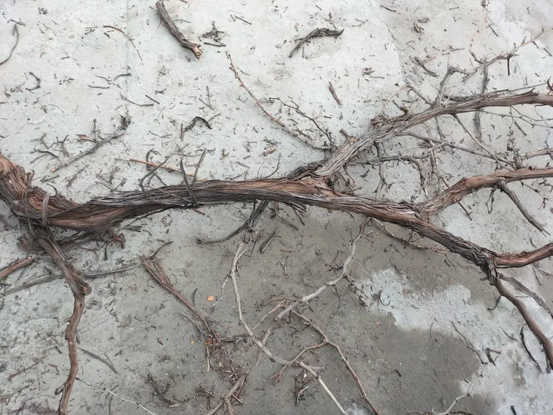 Oʻtin arzonroq narxda sotiladi. 3 Oʻtin arzonroq narxda sotiladi. 3