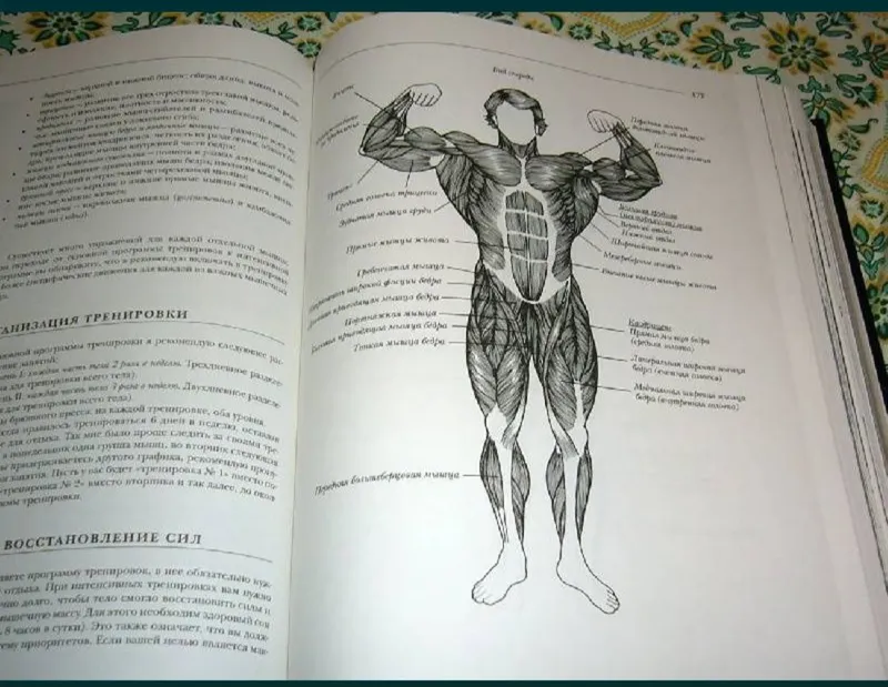 Bodibilding ensiklopediyasi 5