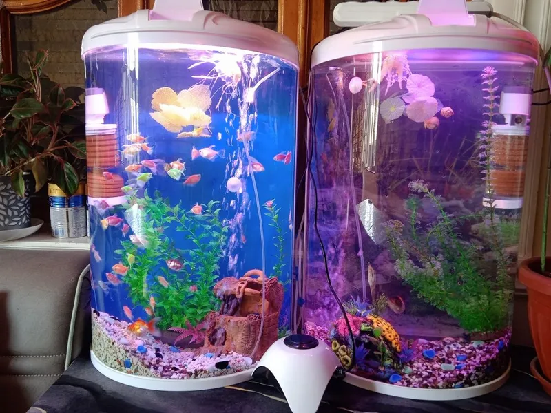 Akvarium va baliqlar bilan 5 Akvarium va baliqlar bilan 5