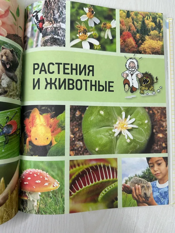 Большая Энциклопедия | для всех — фото 1