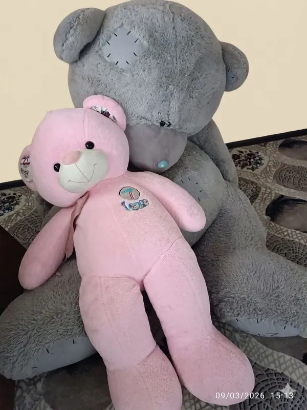 ayiq teddy