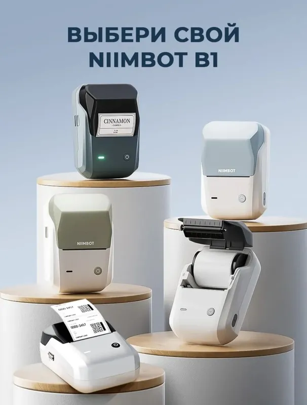 Мини принтер Niimbot B1
