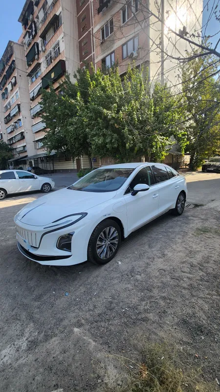 Hongqi e-qm5 вариант — фото 1