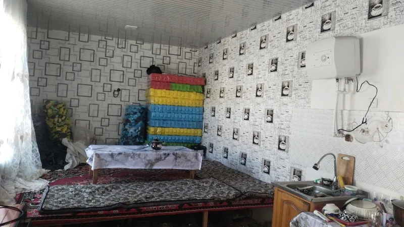 1,7 soʻtih nazarbe meva zor mahalada — фото 4