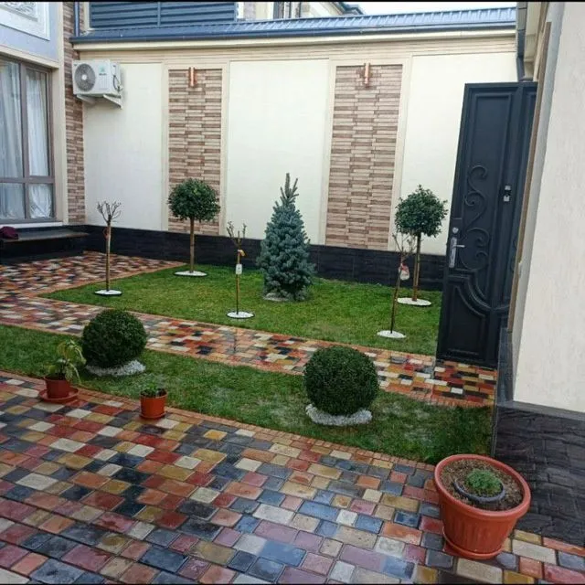 Archa ko‘chatlari xar xil mevali daraxtlar bor — фото 3