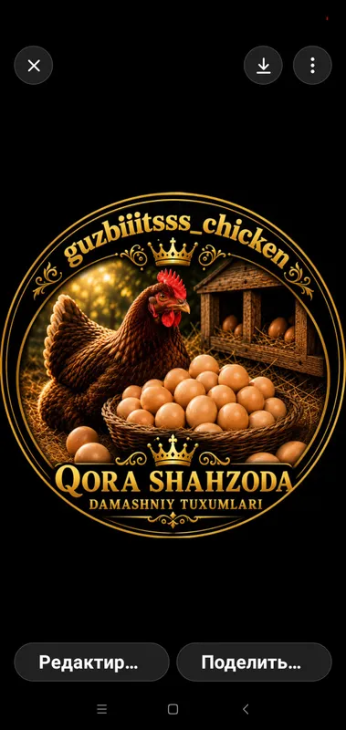 Toza Qora Shahzoda Damashniy tuxumlari — фото 3