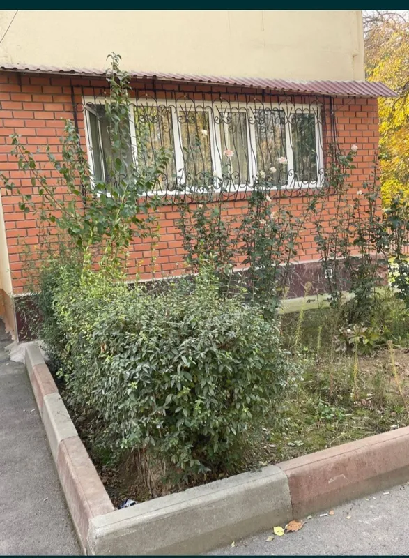 mirzo ulug'bek Rayon feruza
