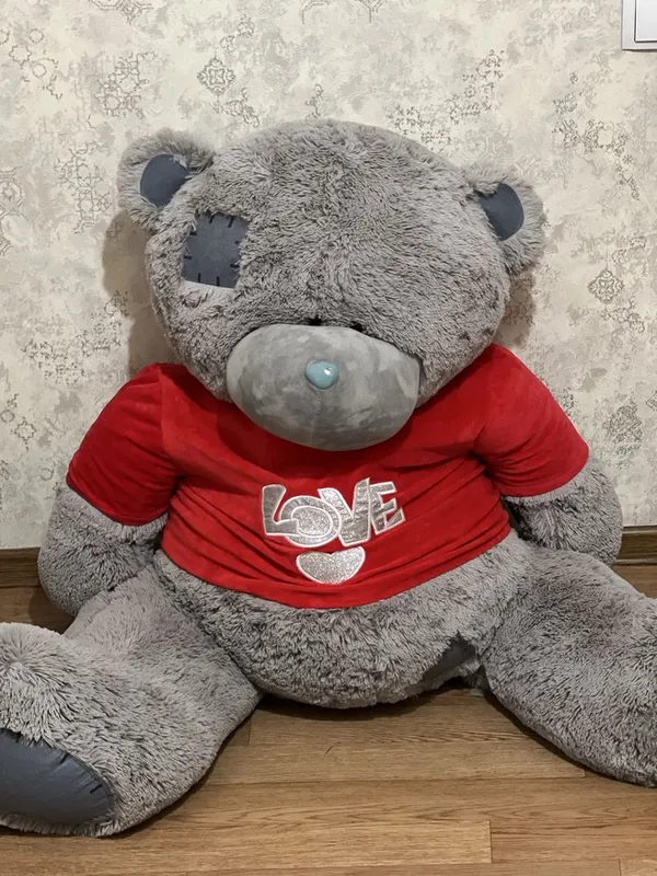Teddy kotta yangiday 1