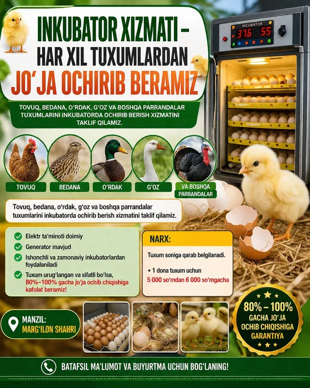 Tuxum ochirish xizmati – Ishonchli va Sifatli