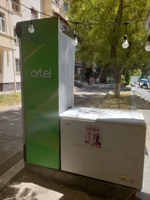 Xaladilnik va marazilka 1