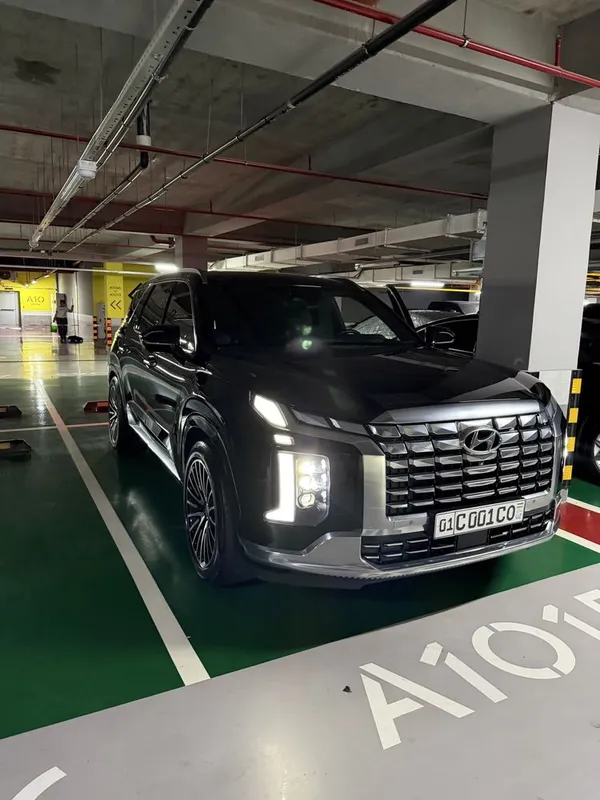 Hyundai palisade 1 Hyundai palisade 1