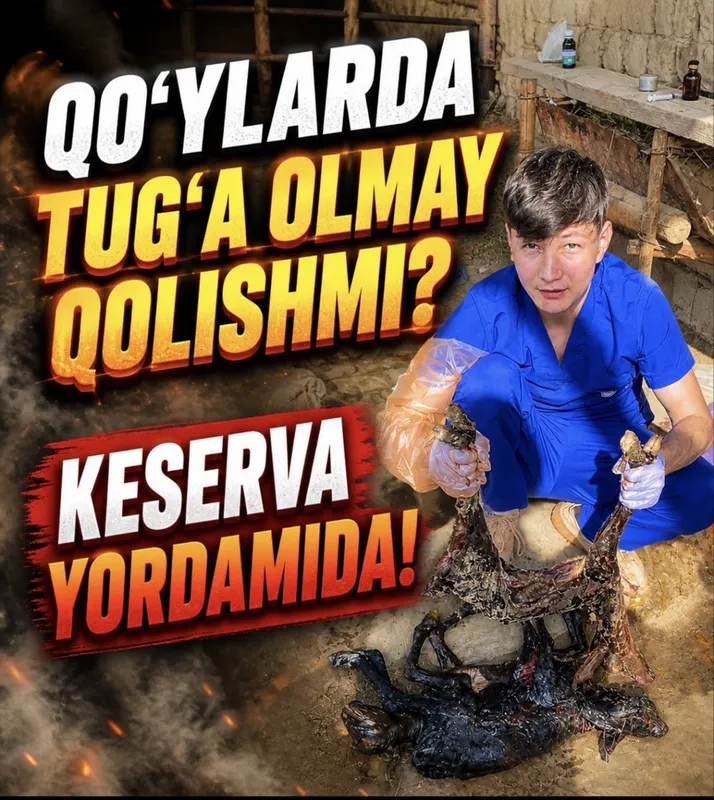 Veterinariya xizmati 24/7 xizmatda