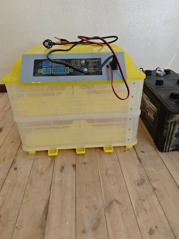Inkubator 120 talik