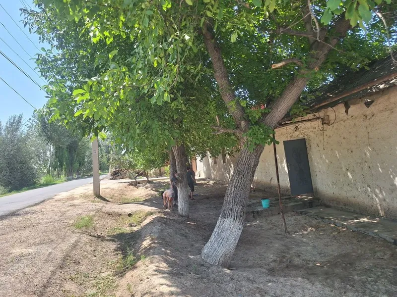 Uy sotiladi sirochna 5