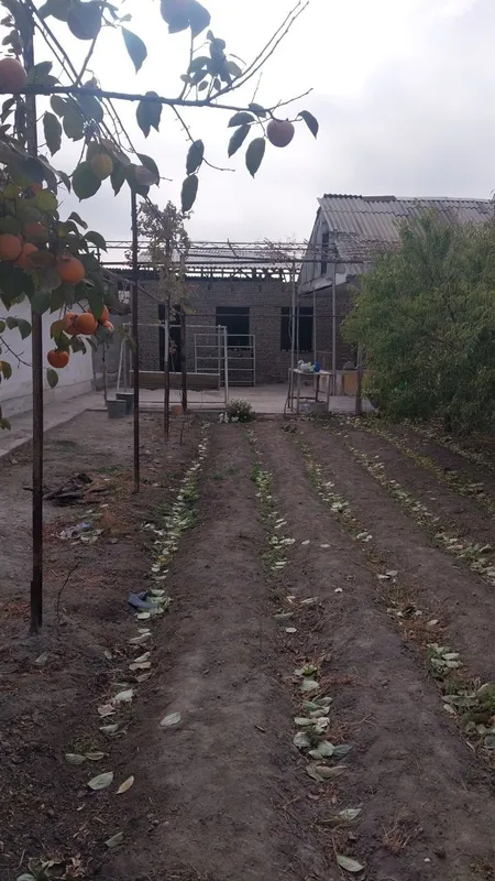 Ховли уй 2 беш болада.Заказерно.