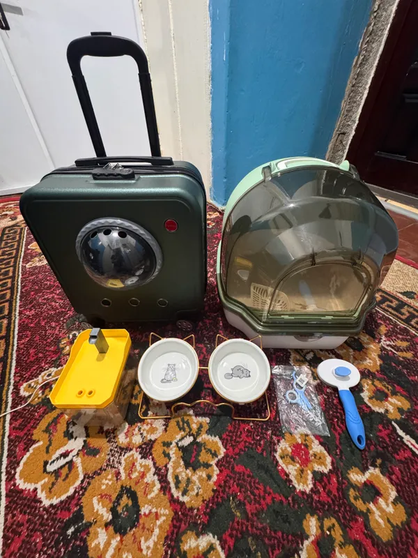 Mushuk uchun kerakli narsalar Mushuk uchun kerakli narsalar