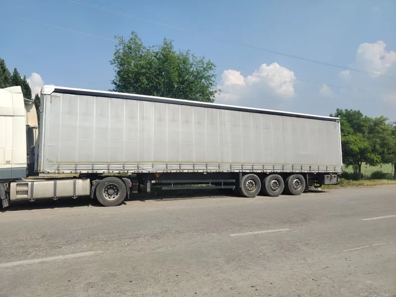 Полпритсеп шимитс — фото 2