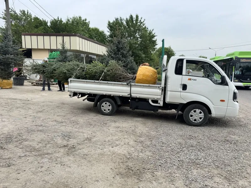 Kia bongo 2023 yil 62000 km tozza moshina tentlari bor — фото 2 Kia bongo 2023 yil 62000 km tozza moshina tentlari bor — фото 2