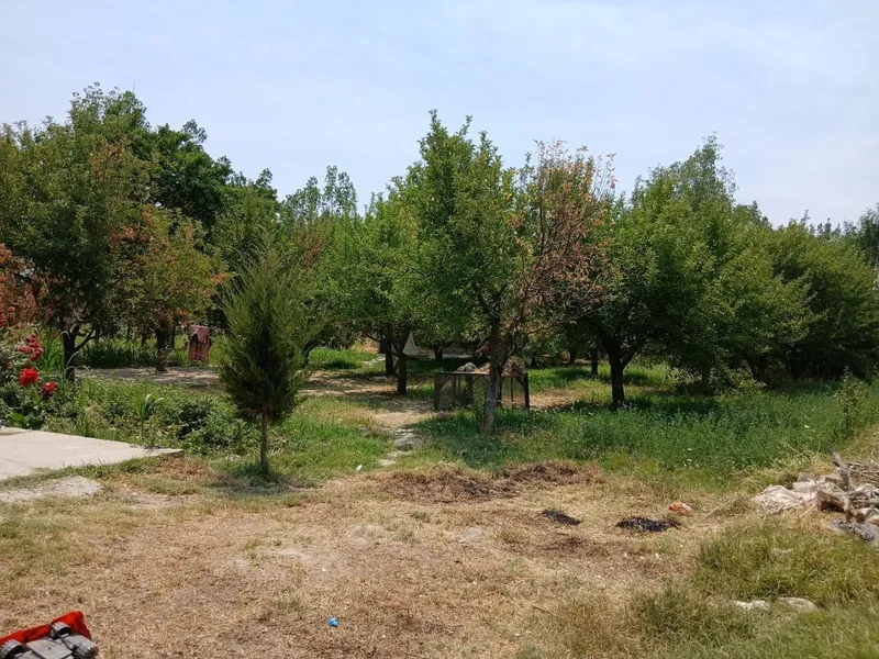 20 sotix Uy sotiladi samarqand jomboy kelishamiz — фото 3