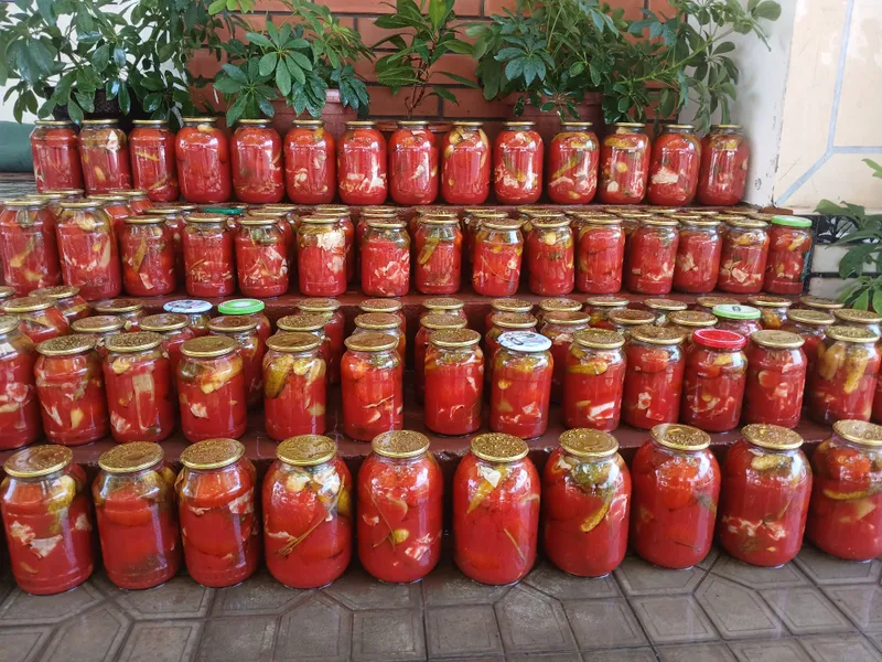 Sok kompotlar 2 Sok kompotlar 2