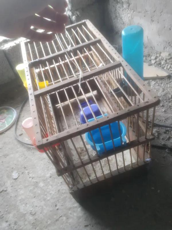 qush boqishga idishlai bilan 100min kelishamiz — фото 1