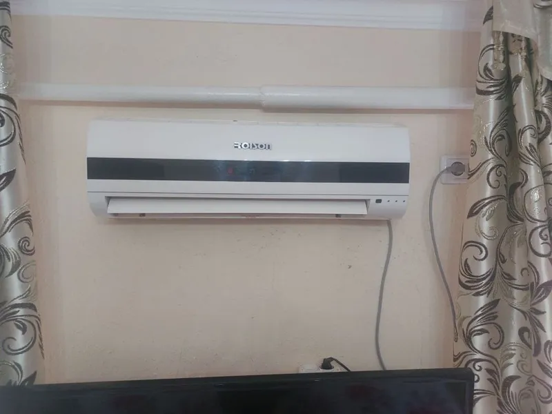 Roison konditsioner 1