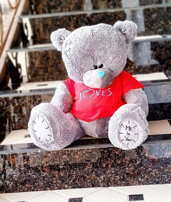 Наши плюшевые медведи Teddy 4 Наши плюшевые медведи Teddy 4