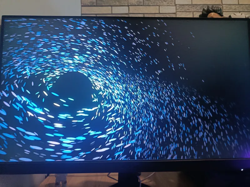 Игровой Комплект 24"/Core i5/GTX 1660 Ti/16 GB RAM