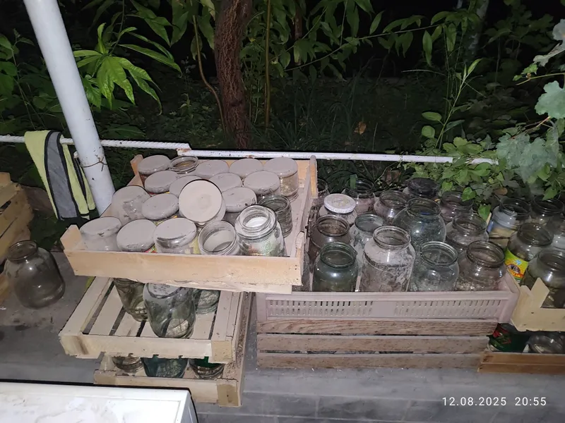 Banka sotiladi 300-400gram va yarim litrlik aralash nostandart bonkala 1 Banka sotiladi 300-400gram va yarim litrlik aralash nostandart bonkala 1