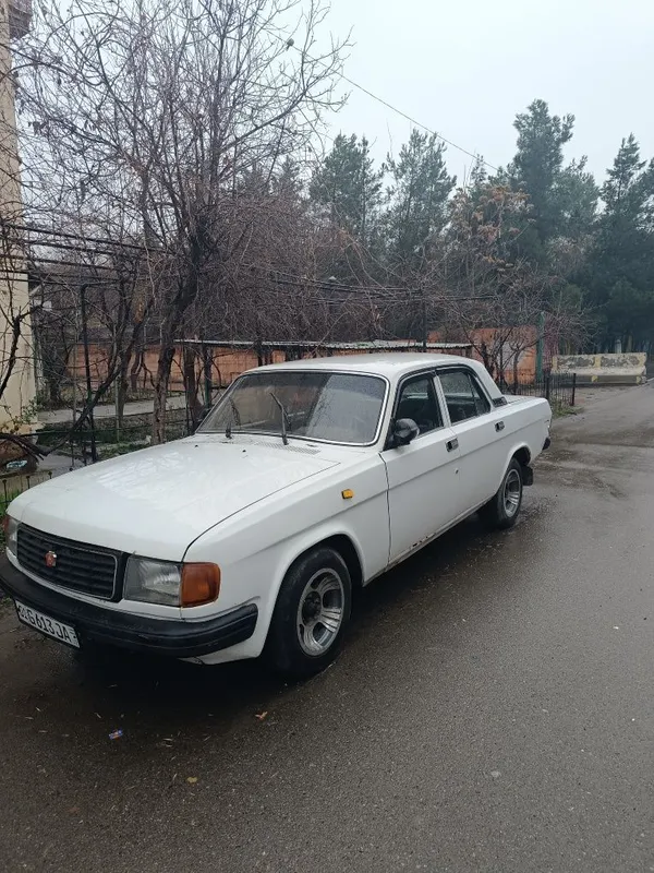 Волга Газ 31029 простой мотор, 5 ступка, Чайка чулок — фото 1