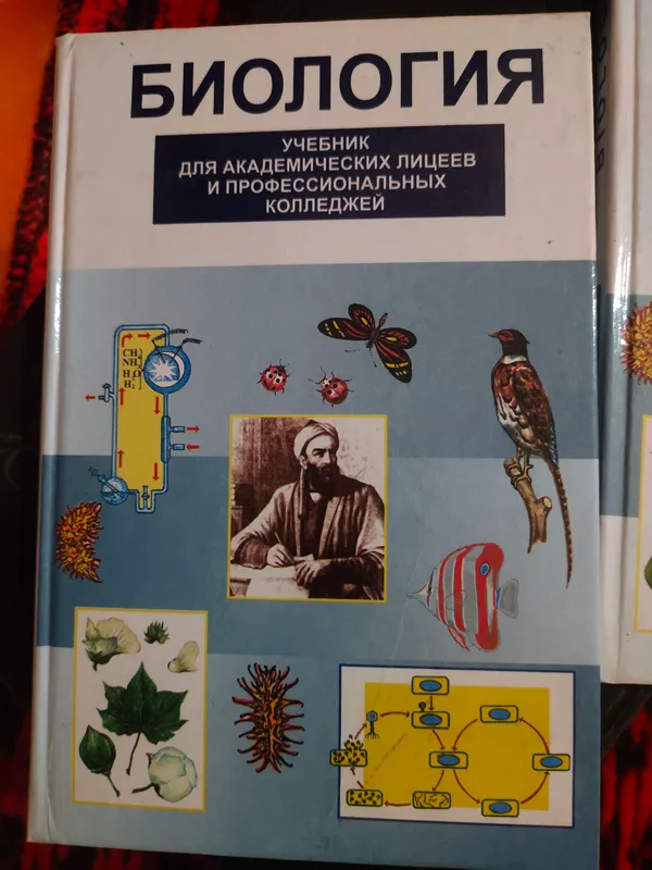 книга книга