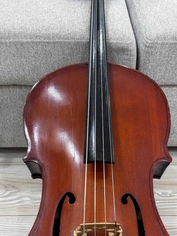 violonchel 3 violonchel 3