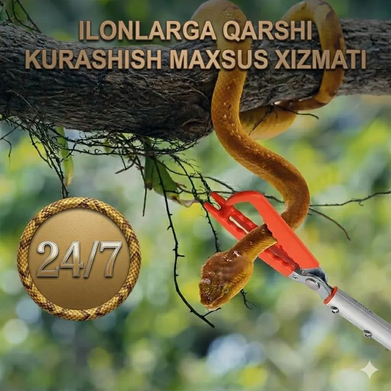 Ilon tutish va dezinfeksiya qilish xizmati 24/7