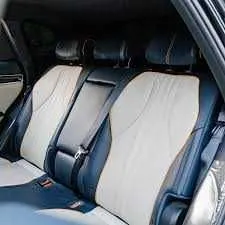 byd chempion naxt va xalol nasiya — фото 1