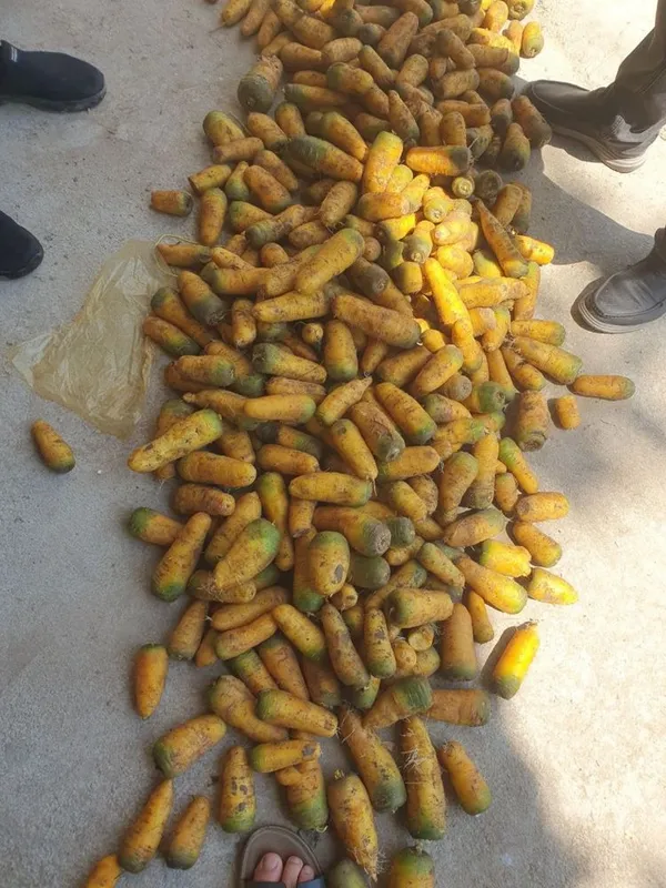 Sabzi sariq sotiladi 1 Sabzi sariq sotiladi 1