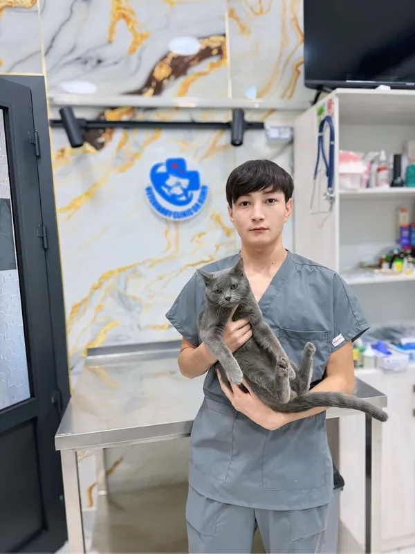 Veterinariya xizmati – It va mushuklar uchun tezkor yordam! 2