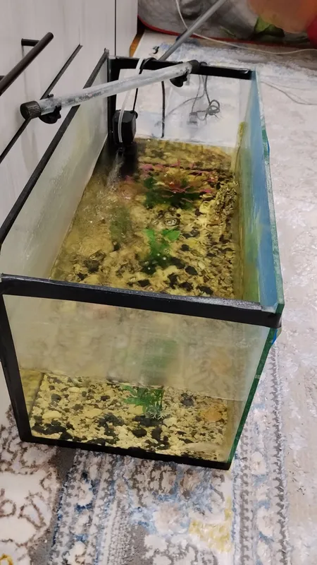 AKVARIUM 3