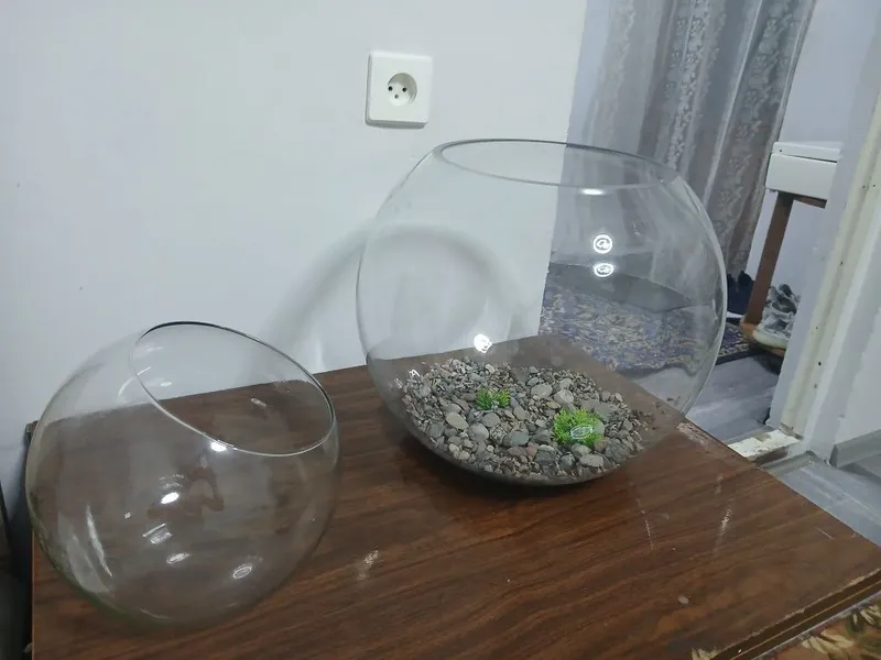 Agar akvarium sotib olsangiz, sovg‘a sifatida yana 5 litrli 1 ta beriladi 5 Agar akvarium sotib olsangiz, sovg‘a sifatida yana 5 litrli 1 ta beriladi 5