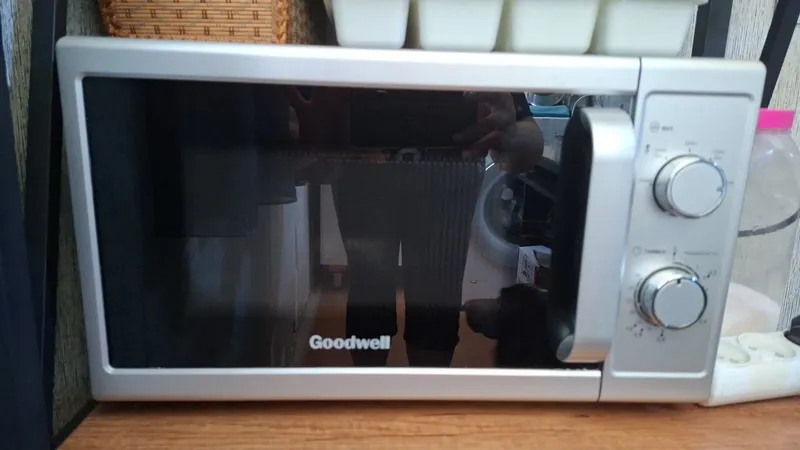 Микроволновая печь GOODWELL