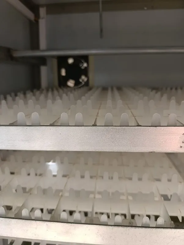 Inkubator sotiladi 600talik 3