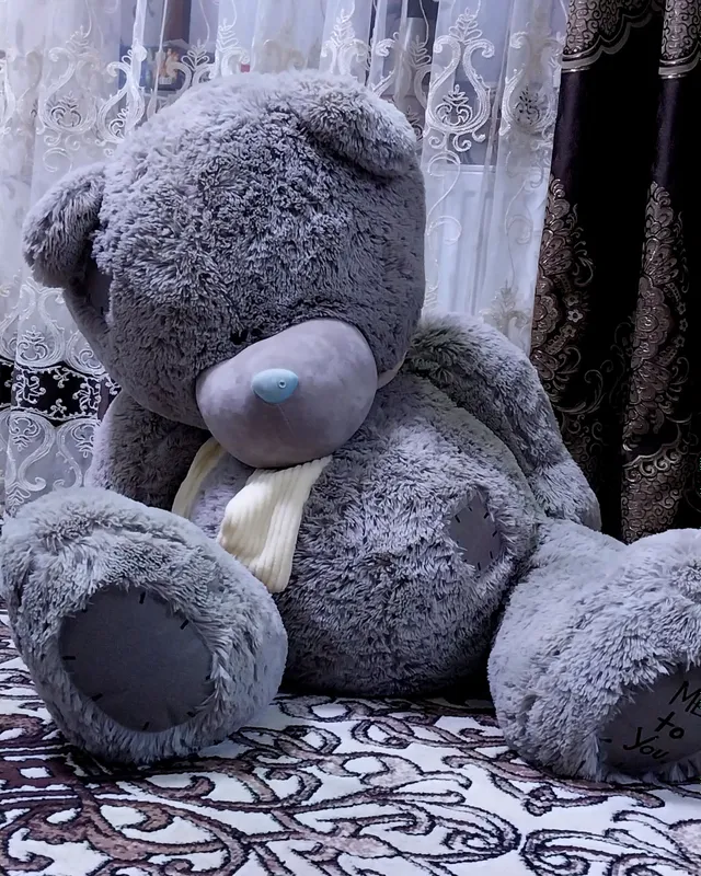 teddy  kattasi sotiladi srochna