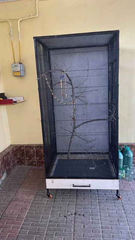 клетка для птиць