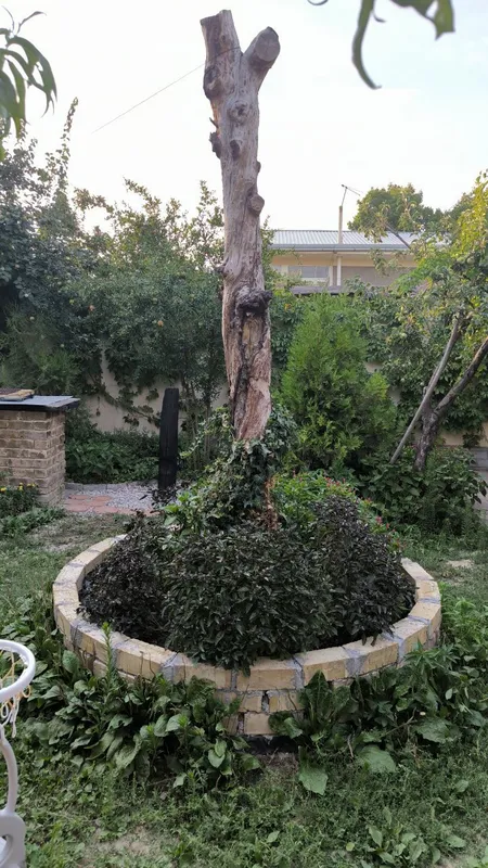 Ландшафтный дизайн и благоустройство 8