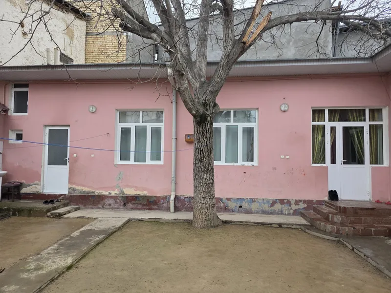 Дерево грецкий орех