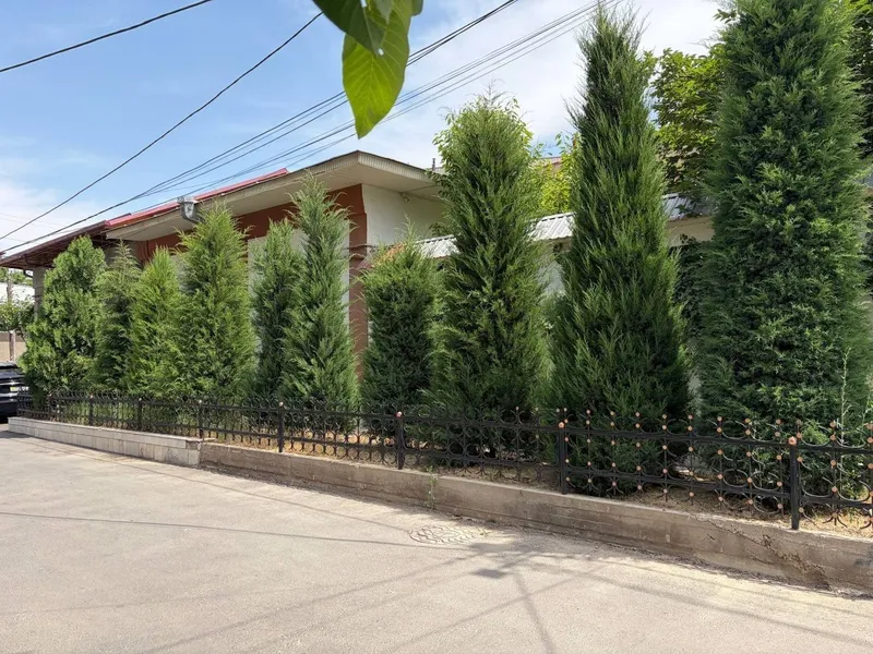Участок  Дом 3 сотки. Аренда — фото 9