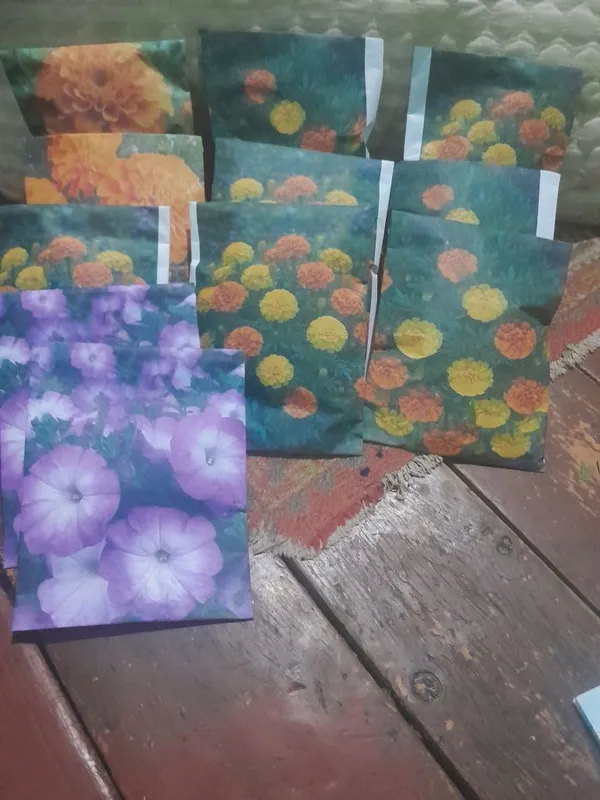 Shafran, tagetes, petunia urug' 2