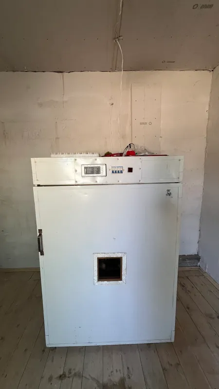 inkubator 1056 talik xitoy oxirgi aparati 3 inkubator 1056 talik xitoy oxirgi aparati 3
