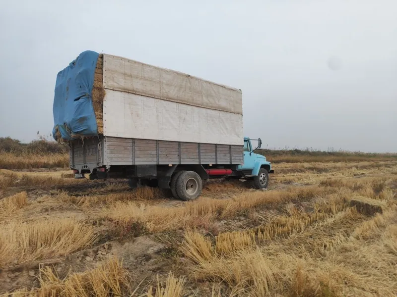 Gaz 3309 sotladi 1 Gaz 3309 sotladi 1